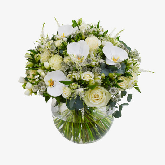 white pearl luxury flower bouquet by Moyses Stevens UAE featuring Astrantia, Astilbe, Phalaenopsis, Alstroemeria, Phlox, Spray Roses, Freesia