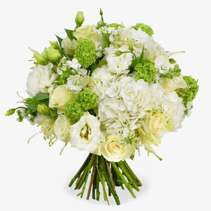 White And Green